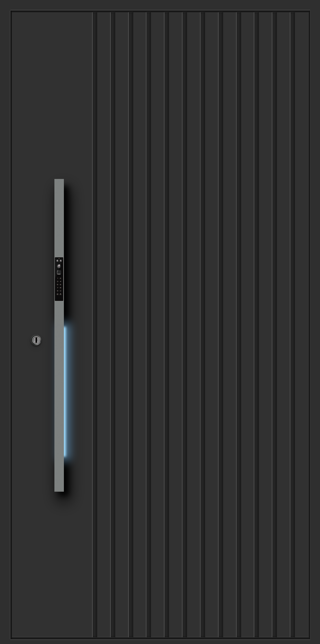 Black designer doors